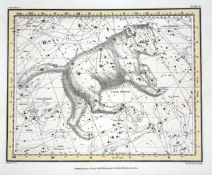 Les Constellations (Planche VI) Ursa Major, de 